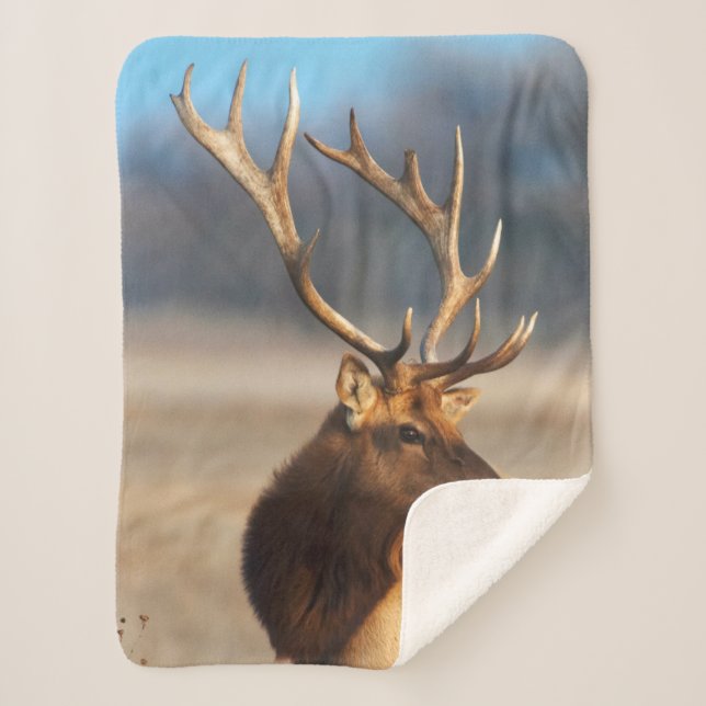 Manta Sherpa Retrato de un asombroso toro (Anverso)