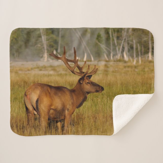 Manta Sherpa Rocky Mountain Elk | Parque nacional Yellowstone (Anverso (horizontal))