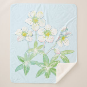 Manta Sherpa rosa de navidades, Helleborus niger