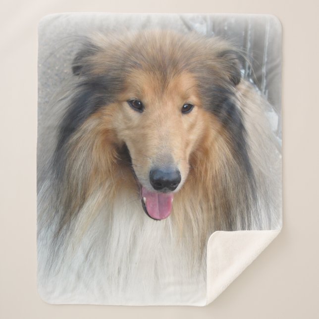 Manta Sherpa Rough Collie retrato (Anverso)
