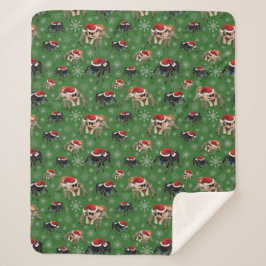 Manta Sherpa Santa Regal Jumping Spider Phidippus Regius verde