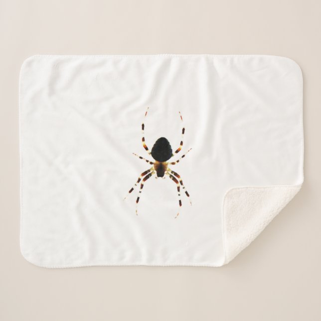 Manta Sherpa Sbcna araña (Anverso (horizontal))