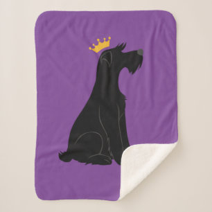 Manta Sherpa Schnauzer Prince