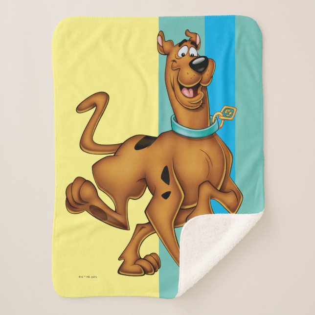 Manta Sherpa Scooby-Doo Happy Walk (Anverso)