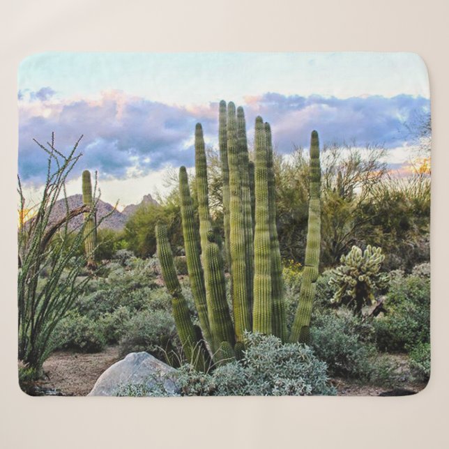 Manta Sherpa Scottsdale Succulent Sunset (Anverso (horizontal))