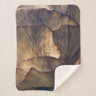 Manta Sherpa Selective focus photo of mushroom