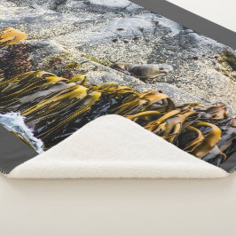 Manta Sherpa Sello De Piel Joven En La Roca