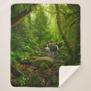 Manta Sherpa Selva tropical asiática, bosque, medio ambiente