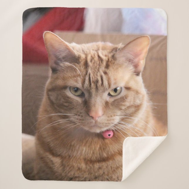 Manta Sherpa Serio (Anverso)