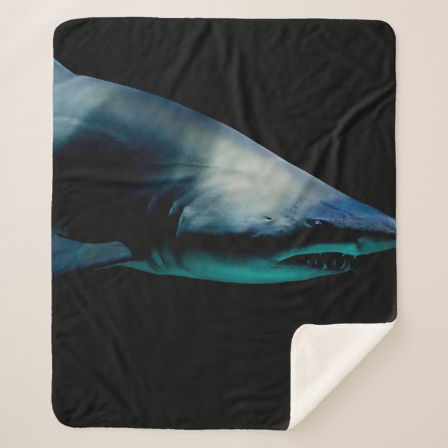MANTA SHERPA SHARK AGAINST BLACK BACKGROUND (Anverso)