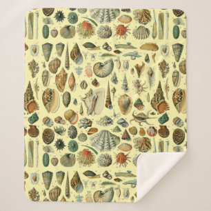 Manta Sherpa Shell de conchas marinas Mollusk Clam Elegante Art