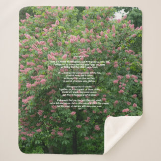 Manta Sherpa Sherpa Blanket