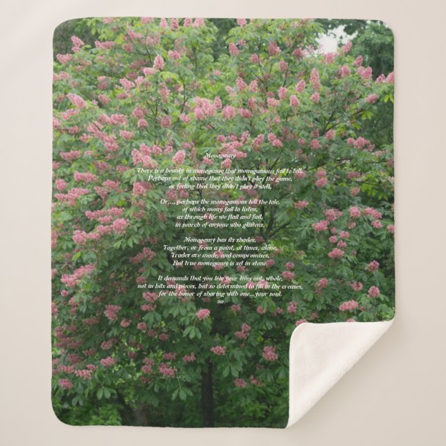 Manta Sherpa Sherpa Blanket (Anverso)