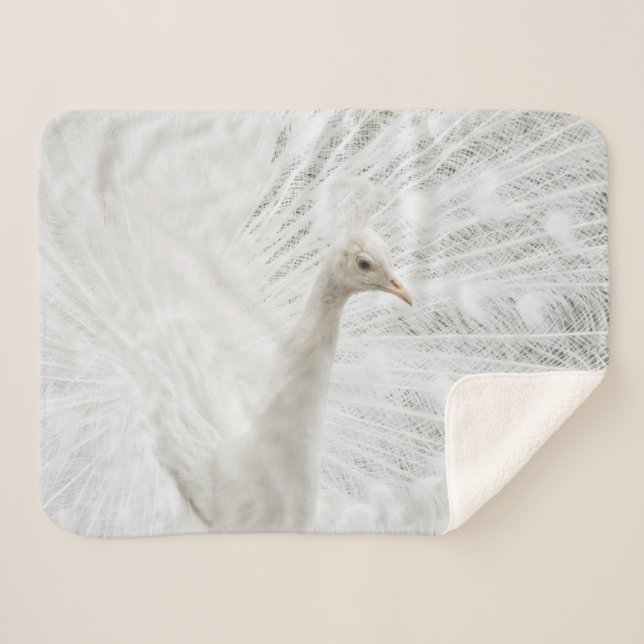 Manta Sherpa Sherpa Blanket (Anverso (horizontal))