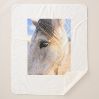 Manta Sherpa Sherpa Blanket Ember