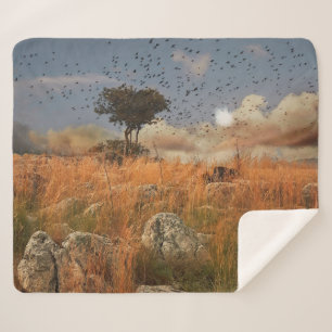Manta Sherpa Sherpa Blanket Lonely Tree And Birds