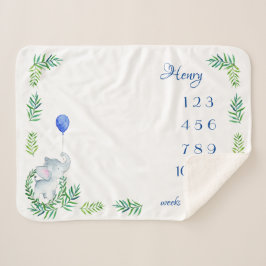 Manta Sherpa Sherpa Blanket Milestone Baby Boy Mensual Semanal