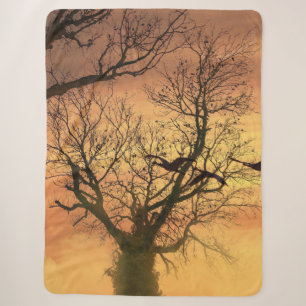 Manta Sherpa Sherpa Blanket Twisted Autumt Tree At Sunset