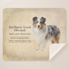 Manta Sherpa Shetland Sheepdog Loyalty and Quiet Devotion