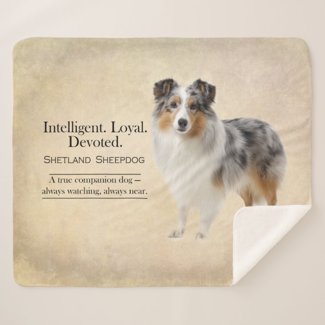Manta Sherpa Shetland Sheepdog Loyalty and Quiet Devotion (Anverso (horizontal))