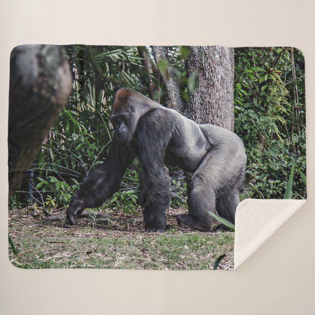 MANTA SHERPA SILVERBACK GORILLOA (Anverso (horizontal))