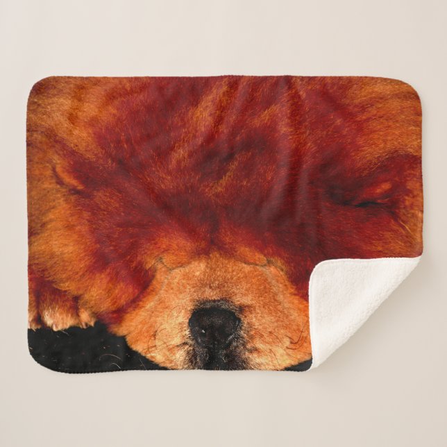 Manta Sherpa Sleeping Chow Chow sbcna (Anverso (horizontal))