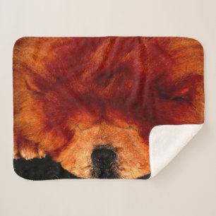 Manta Sherpa Sleeping Chow Sbcn