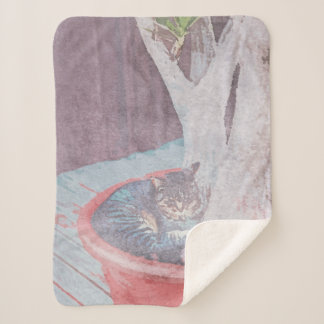 Manta Sherpa sleeping outdoor cat digital art watercolour