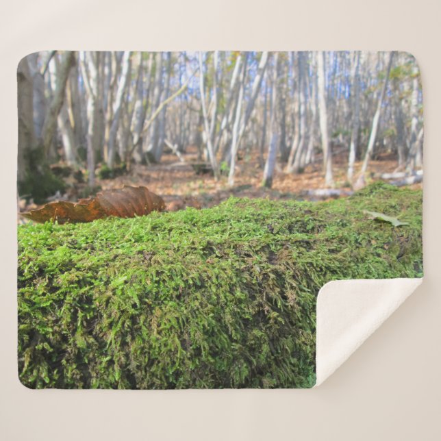 Manta Sherpa Slumbres de árboles en las mezquitas de otoño - Pe (Anverso (horizontal))