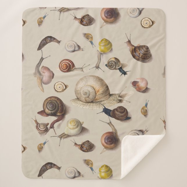 Manta Sherpa Snail Slug Garden Mascota Gastropod Snails Botanic (Anverso)