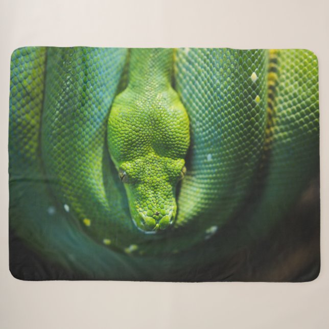 MANTA SHERPA SNAKE VERDE (Anverso (horizontal))