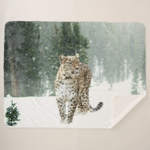 MANTA SHERPA SNOW LEOPORD