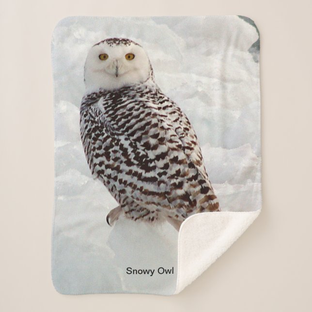 Manta Sherpa Snowley Owl Sherpa Blanket (Anverso)