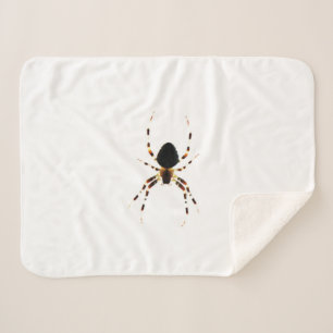 Manta Sherpa Spider sbcn