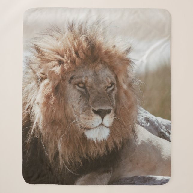 MANTA SHERPA SR. LION (Anverso)