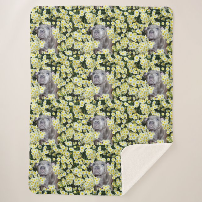 Manta Sherpa Staffordshire Bull Terrier Y Yellow Daisisises, (Anverso)