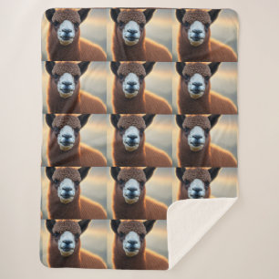 Manta Sherpa "Su majestad flauta: La Gran Alpaca Marrón Wooly"