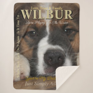 Manta Sherpa Su Mascota La Estrella Son Estilo Revista