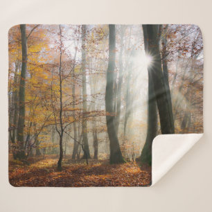 Manta Sherpa Sun Rays Mystic Scene Fall Forest Nature Foto.