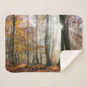 Manta Sherpa Sun Rays Mystic Scene Fall Forest Nature Photo