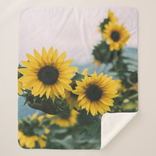 MANTA SHERPA SUNDLOWERS AMARILLOS