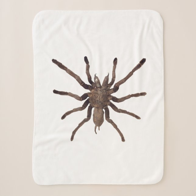 Manta Sherpa Tarantula Blanket (Anverso)