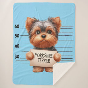 Manta Sherpa Terrier de Yorkshire travieso