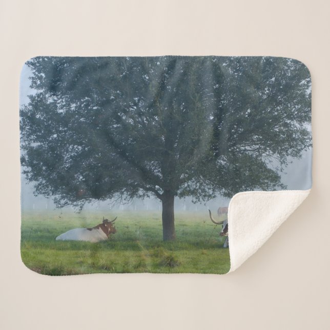 MANTA SHERPA TEXAS LONGHORNS (Anverso (horizontal))