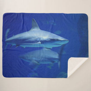 MANTA SHERPA TIBURONES AZULES