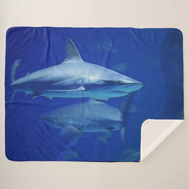 MANTA SHERPA TIBURONES AZULES (Anverso (horizontal))