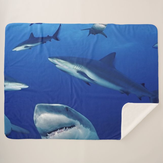 MANTA SHERPA TIBURONES POR TODAS PARTES (Anverso (horizontal))
