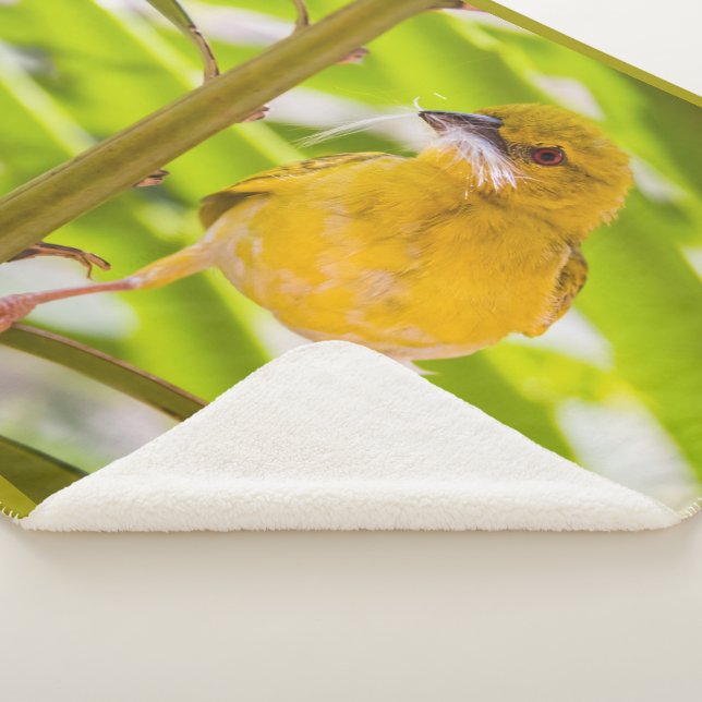 Manta Sherpa Tiempo de construir el nido (3/4)