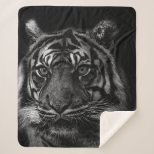 MANTA SHERPA TIGER PORTRAIT IN BW