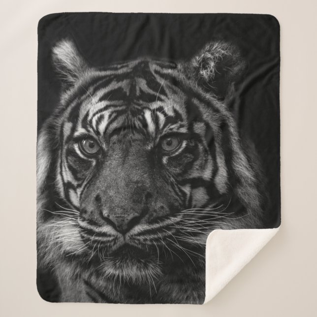 MANTA SHERPA TIGER PORTRAIT IN BW (Anverso)